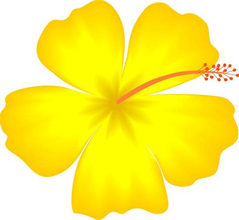 Yellow Hibiscus Hawaii State Flower Image Vector Clip Art Online