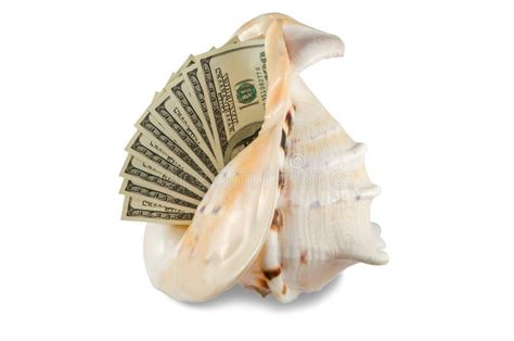 Dollars In Shell Stock Image Image Of Mollusk Currency 31225507