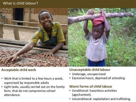 Child Labour In Cocoa Industry Case Study Ppt Study Poster