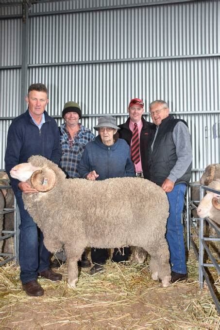 Merinos Sell For Record Average Of 1887 Farm Weekly WA