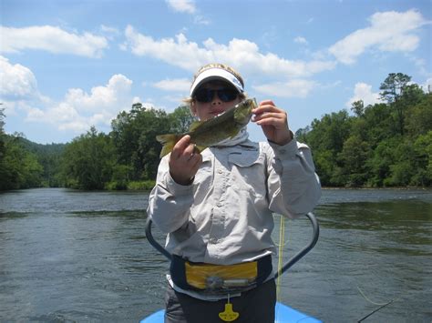 Pleasure cruising, water activities, beaching, and fishing can be enjoyed on almost any lake in the state. Hiwassee Angler: North Carolina Fishing