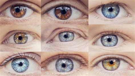 The Truth About Brown Eyes