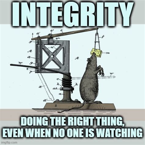 Integrity Imgflip