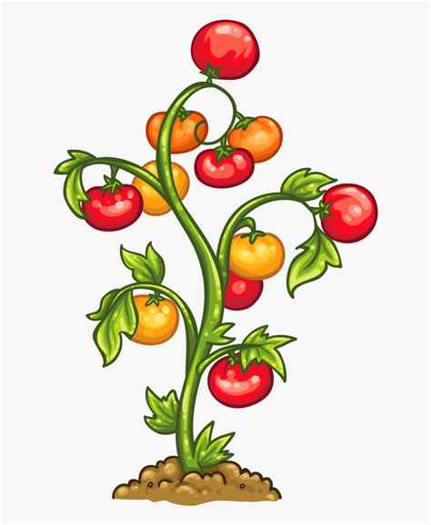 Tomatoes On The Vine Clipart 10 Free Cliparts Download Images On
