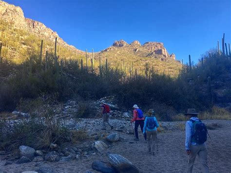 Best Hikes In Tucson Sabino Canyon Campfires And Concierges