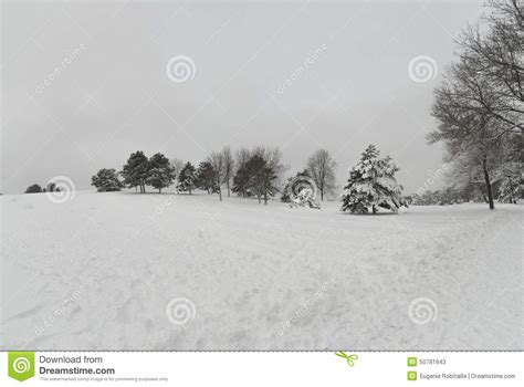 After The Snow Storm In The Park Stock Image Image Of Parc Trees