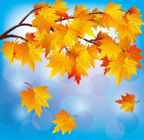 Beautiful Autumn Leaf Background 05 Vector Free Vector In Encapsulated