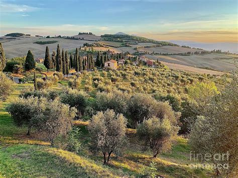 Beautiful Tuscan Landscape In Late Afternoon Photograph By Jennie