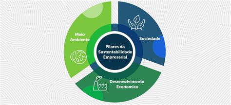 Os Pilares Da Sustentabilidade Empresarial Eco