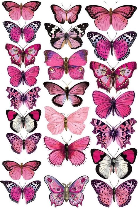 Free Printable Butterflies Butterfly Drawing Butterfly Painting