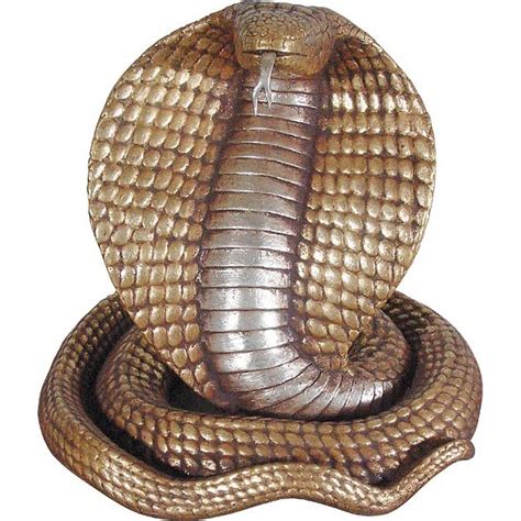 King Cobra Snake Facts And Photos Images The Wildlife