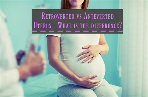 Retroverted Vs Anteverted Uterus What S The Difference The Healthy Apron