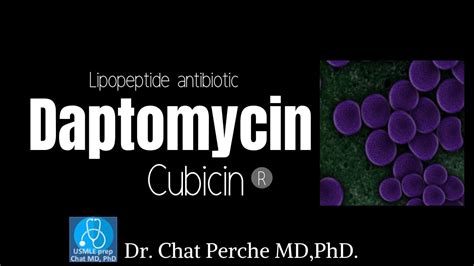 Daptomycin Cubicin Mechanism Of Action Usmle Pharmacology Youtube