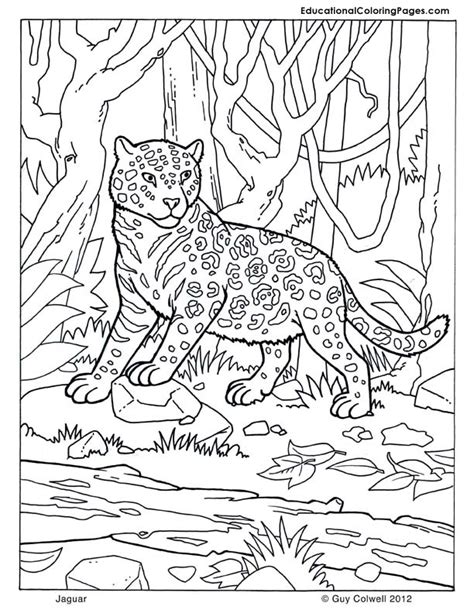 Https://tommynaija.com/coloring Page/african Animals Coloring Pages For Kids