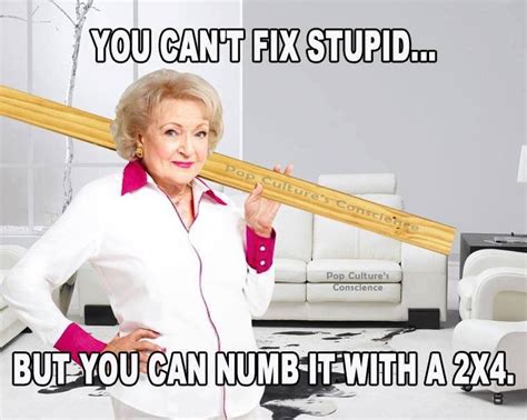 You Cant Fix Stupidbut You Can Numb It With A 2x4 Funny Quotes