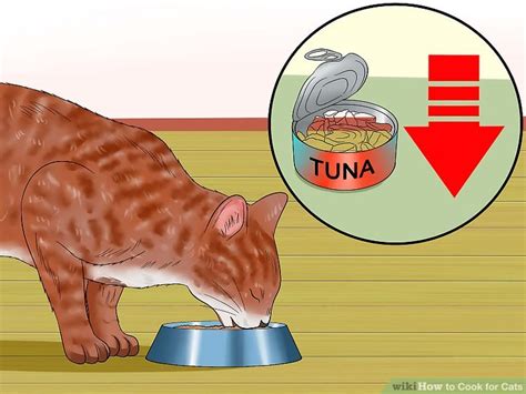 How To Cook For Cats With Pictures Wikihow