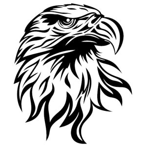 Bald Eagle Svg | Bald Eagle Head svg cut file Download | JPG, PNG, SVG
