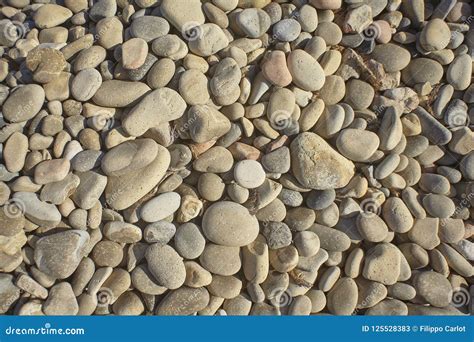 Texture Of White Pebbles Stock Image Image Of Smooth 125528383
