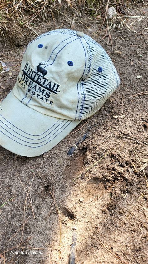 151 acre turn key hunting paradise | Whitetail Dreams