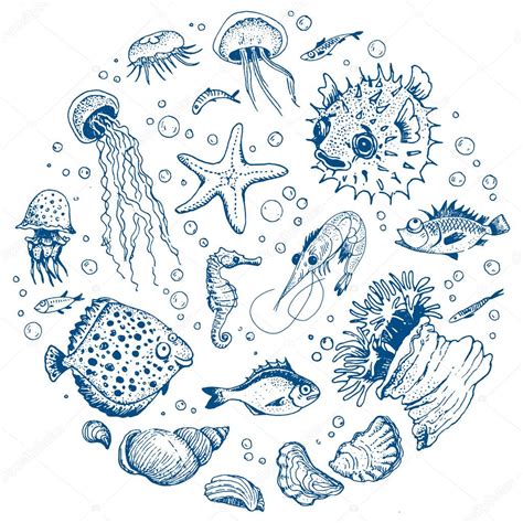 Sea Life Hand Drawn Set Premium Vector In Adobe Illustrator Ai Ai