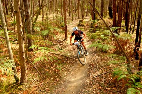 Wombat Track Mountain Bike Trail In Woodend Victoria Directions