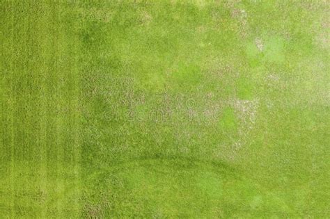 Aerial Green Grass Texture Background Stock Image Image Of Greenery