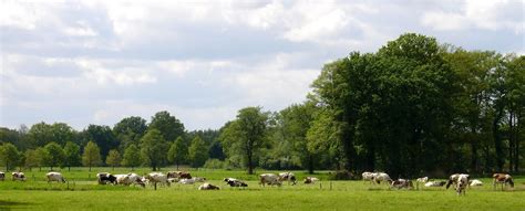 Organize your adventure now and you'll save as much as $583* — it's really that easy! Groepsaccommodaties huren in Twente | Groepen.nl