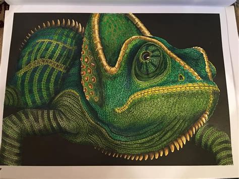 Pin on Intricate Ink: Animals In Detail Coloring Book