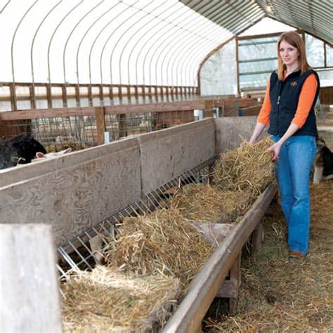 Plans can be located quickly in this list by using the find option in your browser to find key words. 30" Wire Panel for Goats & Sheep — Build Your Own Feeders ...