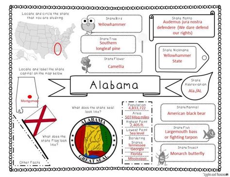 50 States Research Activity Social Studies Worksheets Social Studies