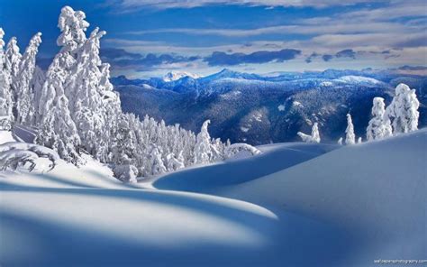 Free Download Download Winterscenes Snow Screensaver Winterscenes Snow
