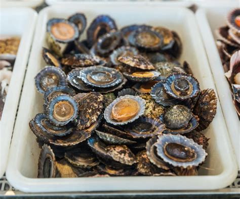 Lapas Or True Limpets Traditional Seafood Of Tenerife And Madeira Islands Stock Image