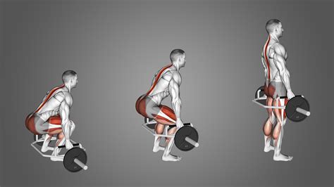 Are Deadlifts For Back Or For Legs Muscle Activation Explained