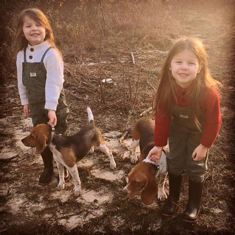 Marians Hunting Stories Etc Etc Etc First Time Beagle Hunting