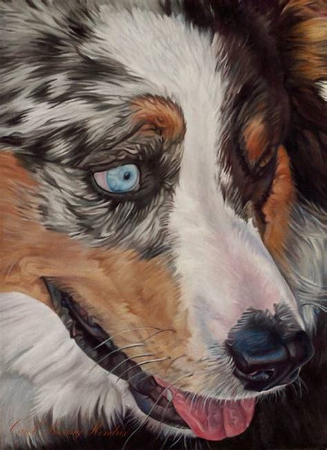 Stunning Australian Shepherd Artwork For Sale On Fine Art Prints