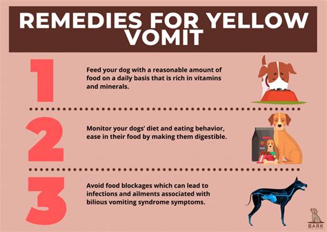 Ultimate Guide To Understanding Yellow Puke In Dogs Bark For More
