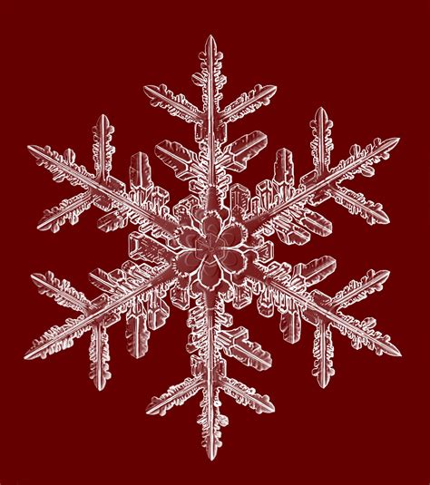 F0105a191aredmask Snowflake Photography Snow Photography Snowflakes