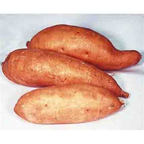 Centennial Sweet Potato Sweet Potatoes Rh Shumways Company