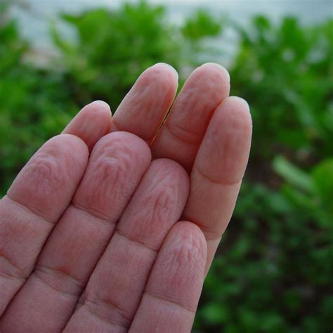 did you know humans may have evolved fingers and toes that wrinkle in water to help them grip
