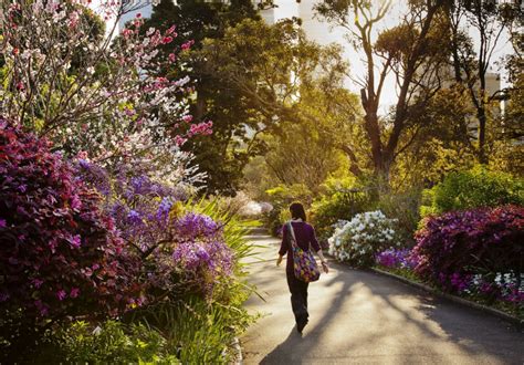 Three To Visit Botanic Gardens In Bloom Around Sydney This Spring
