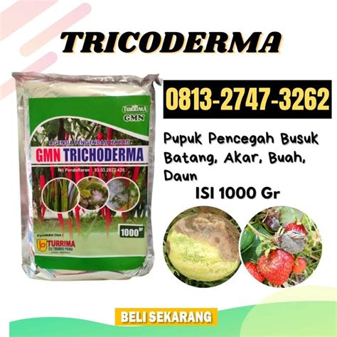 0813 2747 3262 Terbukti Hayati Distributor Pupuk Trichoderma Terbaik