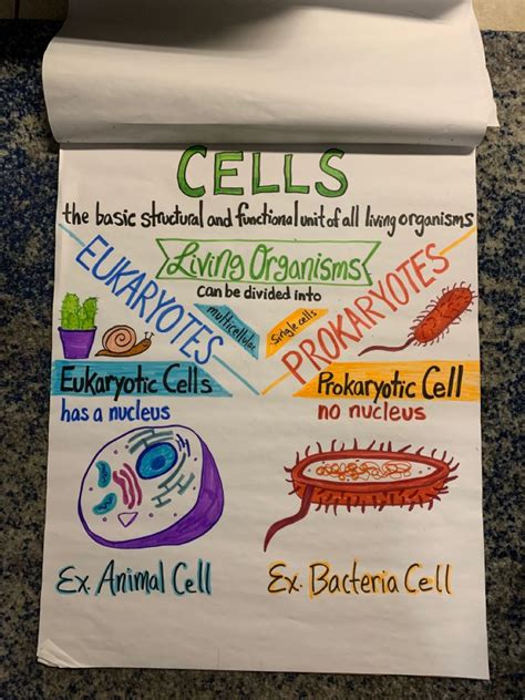 Cells Anchor Chart Science Anchor Charts Biology Classroom Teaching