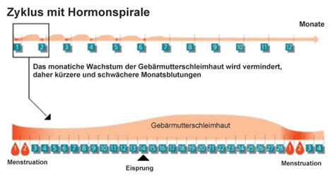 Daran ändert auch ein gesunder lifestyle nichts. Hormonspirale » Der Zyklus mit Hormonspirale