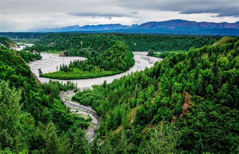 Usa Park Scenery River Forest Denali Alaska Nature Wallpapers Hd