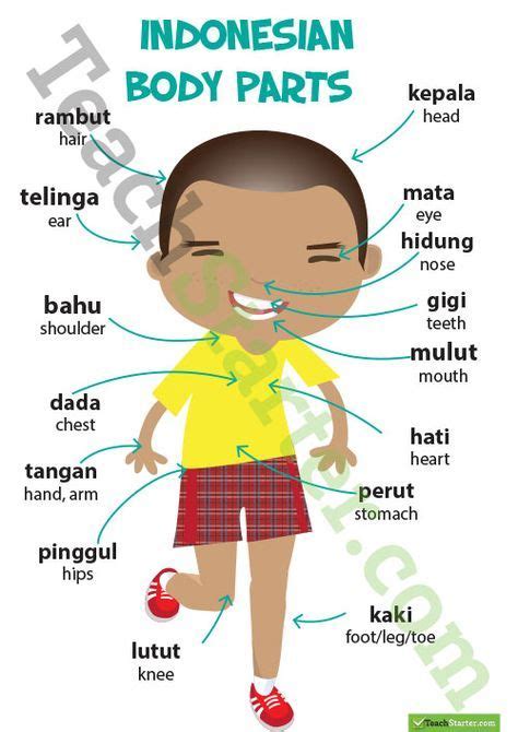 Parts Of The Body Indonesian Language Poster Teaching Resource