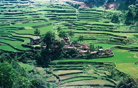 Pero habían otras cosas que también veríamos en esta jornada de nuestro viaje a líbano en 5. El cambio climático amenaza el Patrimonio Mundial