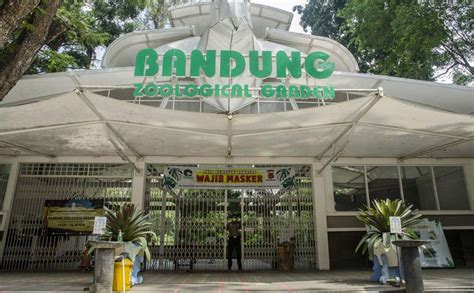 Jam Buka Dan Harga Tiket Kebun Binatang Bandung 2023