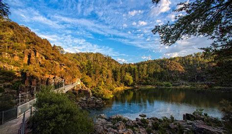 This cloudiness can cause a decrease in vision and may lead to eventual blindness if left untreated. Cataract Gorge Launceston Walking Tour | Tasmania Travel Guide