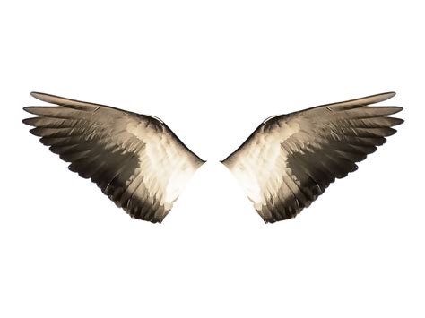 Wings Ave · Free Image On Pixabay