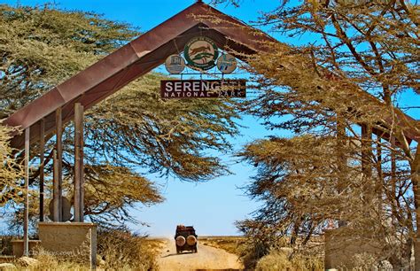 Tanzania Serengeti Safari Overview Gc Journeys